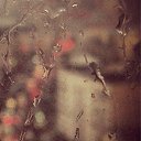 ���� Forest, ���� - ��������� 13 �������� 2016 � ������ ���� ����������