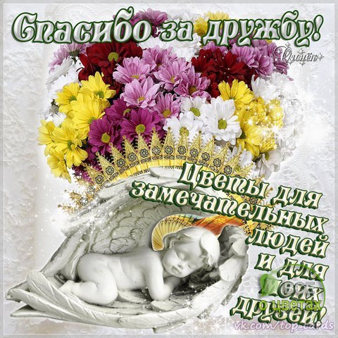 ��� � ������ - 16 ������� 2016 � 14:13