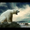  ,  , 45  -  31  2016    