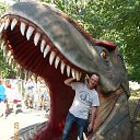 ���� ������, ������������, 46 ��� - ��������� 23 ������� 2016 � ������ ���� ����������