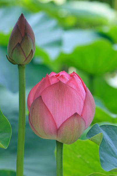 ������!!!!!!!!!!!!!!!!!!!!!!!!!!!!!!!!!!!!!!!!!!!!!!!!!!!!!!!! - 28