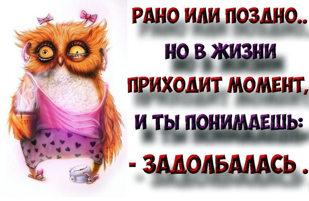      - 1  2017  08:31