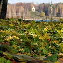 ���� �������, �������, 42 ���� - ��������� 26 ������� 2016 � ������ ������ ��������