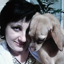 ���� ������, ������������, 51 ��� - ��������� 6 ������ 2017