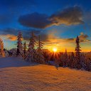 ���� �������, �������-���������, 46 ��� - ��������� 9 ������ 2017 � ������ ���� ����������