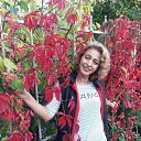 ���� �����, ������� - ��������� 9 ������ 2016 � ������ ���� ����������