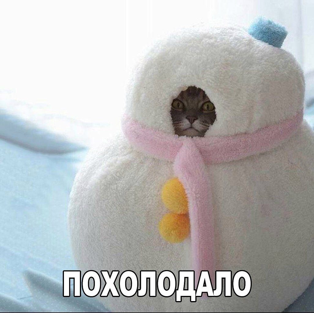    :D - 14  2016  01:06