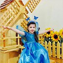  Sehmir,  -  22  2017    