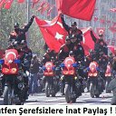 ���� �������, �����-���������, 38 ��� - ��������� 30 ������ 2016 � ������ ���� ����������