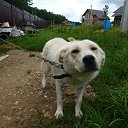 ���� Mech Ta, �����, 54 ���� - ��������� 25 ������� 2016 � ������ ���� ����������