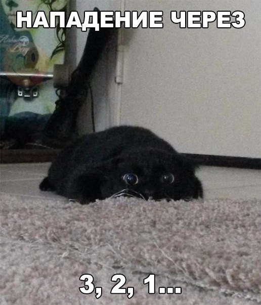 ? ,  ! - 25  2016  08:54