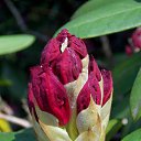 22.05.2016 �� ������� �������� ������������ ���.�