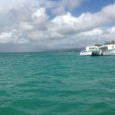 ����������. �. ����� �� ������� ���� ����������