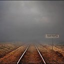  Grant, , 49  -  3  2016   