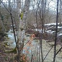 ���� �������, �����������, 42 ���� - ��������� 15 ������ 2017 � ������ ������ ��������