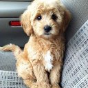 ���� Arthur, �������, 46 ��� - ��������� 21 ����� 2017