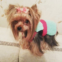 ���� ������� �������� ������, ������ - ��������� 3 ������� 2016