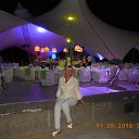 ���� ������, ������������ - ��������� 21 �������� 2016 � ������ �׸���� ����,�������� 2016 �.�