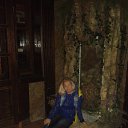 ���� Alena, ��������� - ��������� 1 ������� 2017 � ������ ���� ����������