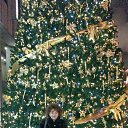 ���� �����, ������������ - ��������� 18 ������ 2017 � ������ ����������� ������.�