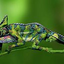 ���� ������, �������, 49 ��� - ��������� 25 ������ 2017