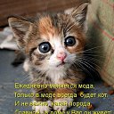 ���� �����, �����, 47 ��� - ��������� 16 ����� 2017 � ������ ������ ��������
