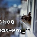 ���� �, ������, 46 ��� - ��������� 1 ����� 2017