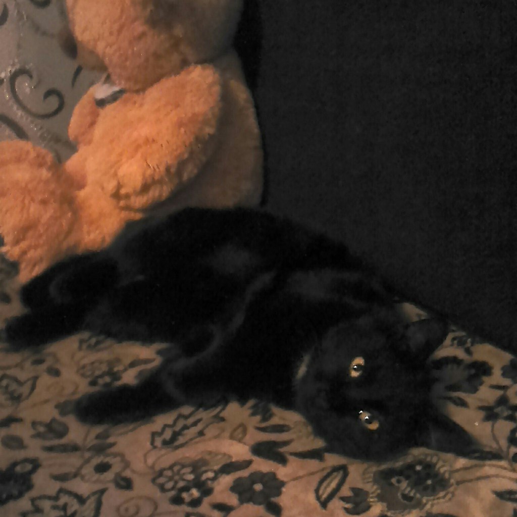 #_.  ,         ,  -  ...