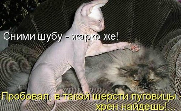    - 2  2016  03:14