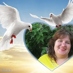 ����, �����������, 59 ���