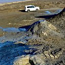  ,  -  1  2017        ۻ