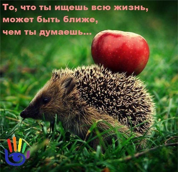 �������� - 9 ������ 2017 � 23:43