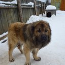 ���� ����, �����, 34 ���� - ��������� 14 ������� 2016 � ������ ������ ��������