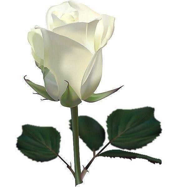 ������� - ��� ������, ������� ������������ �� ���� ����� ������ � ����� ����������� � ������������� ...