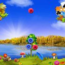 ���� Vera, ������������ - ��������� 24 �������� 2016 � ������ �������� �������-�������