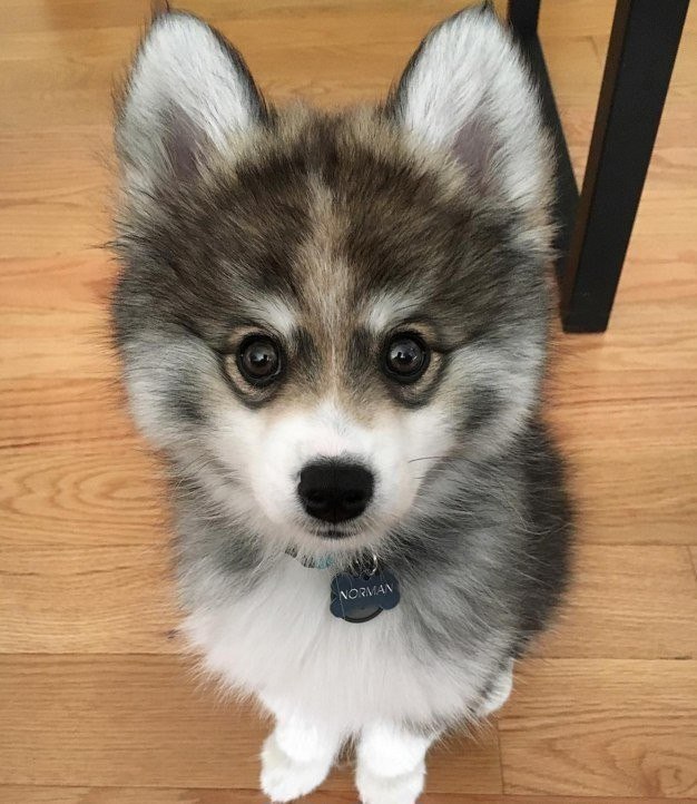 �����������, ��� ������ � ����� �������������� ����������� ����� �� �����. ���� �� ����� ����� ����� ...