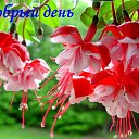 ���� Faina, ���������� - ��������� 11 �������� 2016 � ������ ���� ������� ������