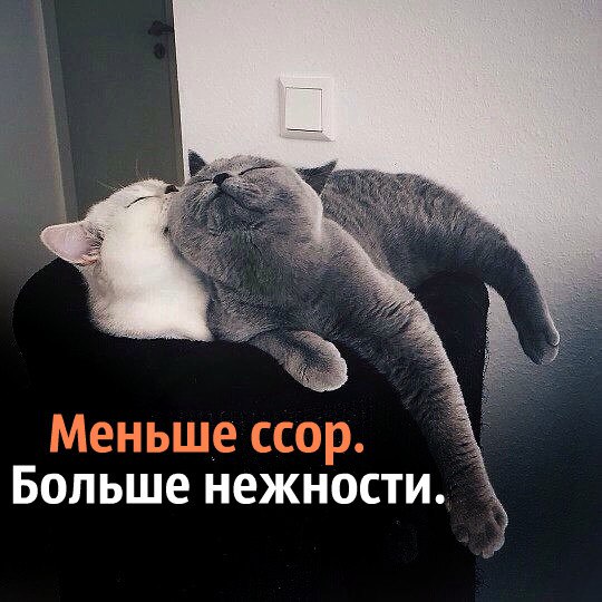 .https://fotostrana.ru/away?to=/sl/kxC2 - 10  2016  12:11