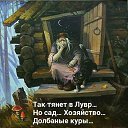 ���� �������, ����������� - ��������� 22 ������� 2016 � ������ �well�