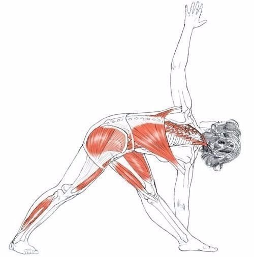 !    ,   ,   ! ... - 4