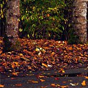 ���� �����..., ����� - ��������� 14 ������� 2016 � ������ ������ �������.�