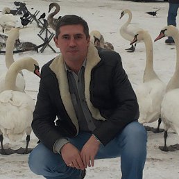 ���� ������, ����� - ��������� 23 ������ 2016