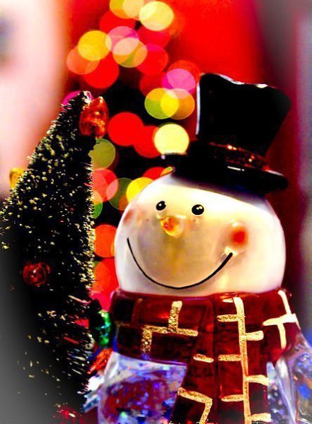  2016   ,    ,    2017.