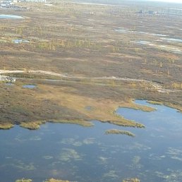 ���� ����, ������, 60 ��� - ��������� 18 �������� 2016