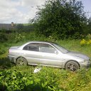 ���� �����, �����������, 39 ��� - ��������� 13 ������� 2017 � ������ ���� ����������