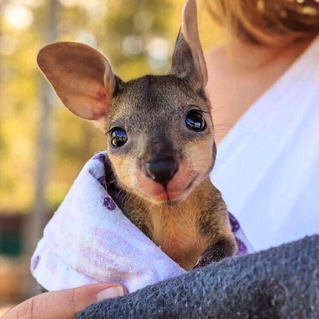 ���� �����. - 2