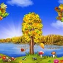 ���� ����, ���������, 49 ��� - ��������� 2 ������ 2017 � ������ �������� �������-�������