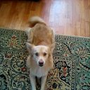 ���� ���������, ������, 38 ��� - ��������� 15 ������� 2017 � ������ �2017�