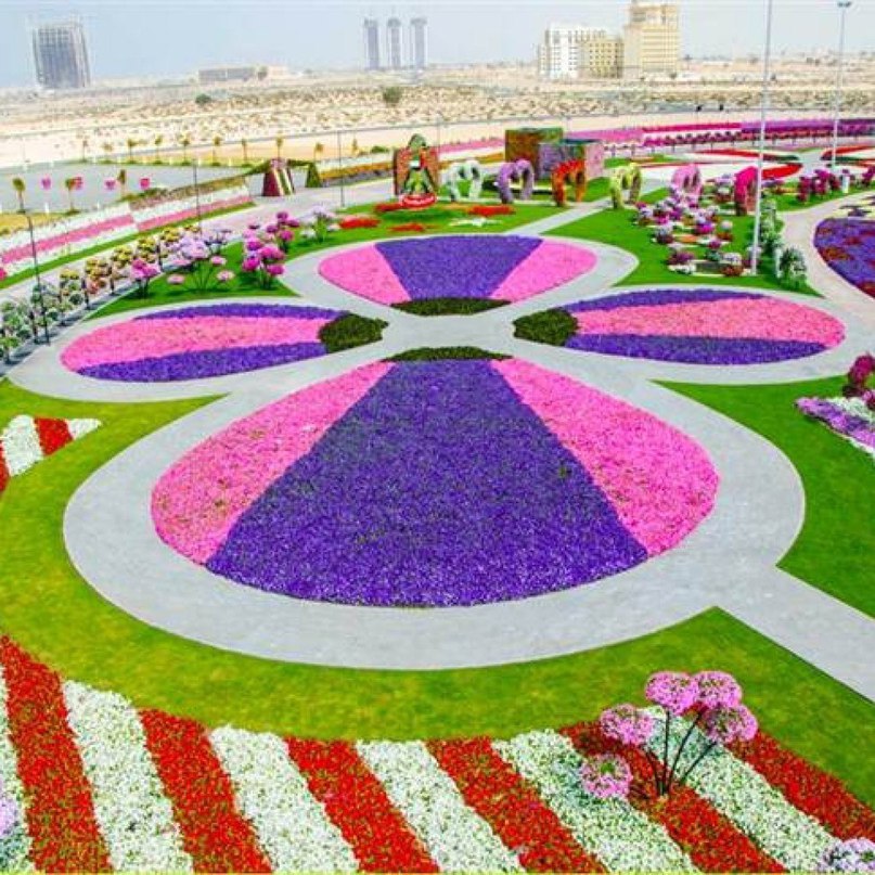 #Dubai Miracle Garden -      , # - 7