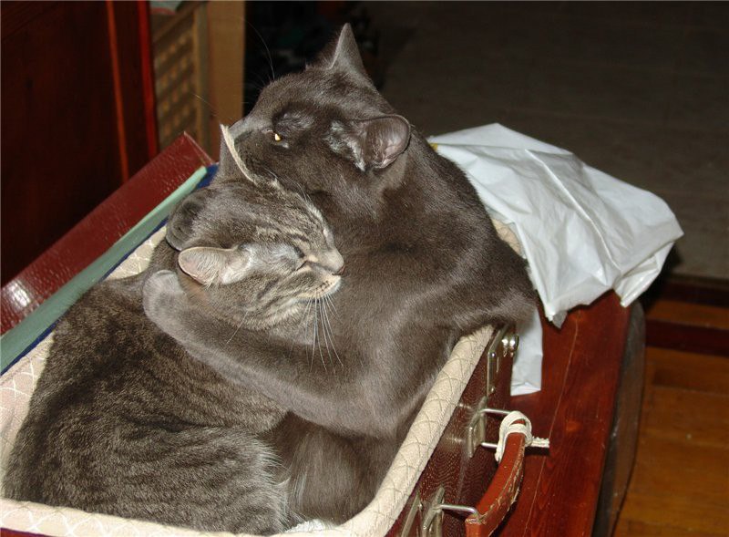 #_.             ... - 3